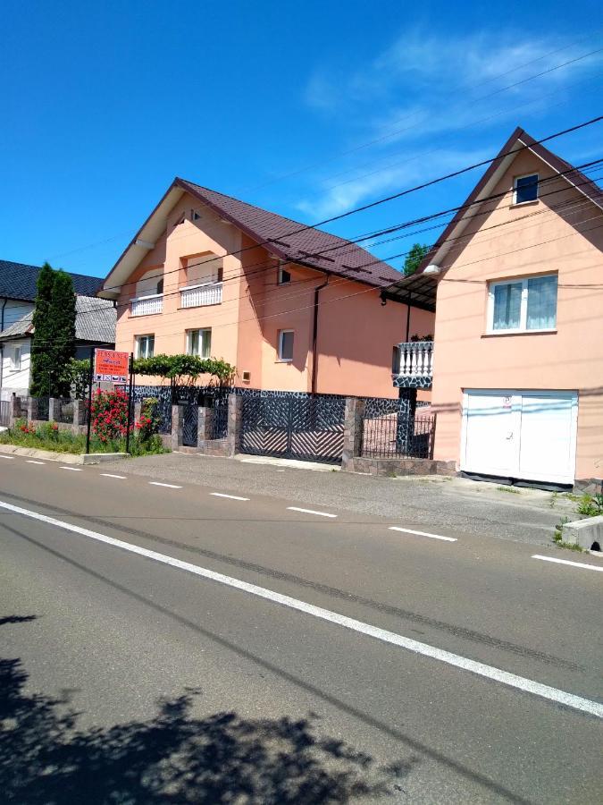 Casa Anca Sighetu Marmaţiei Exterior foto