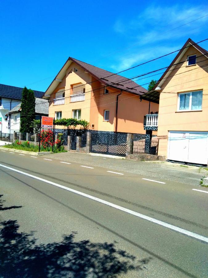Casa Anca Sighetu Marmaţiei Exterior foto